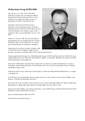 A preview of a PDF biography for Young, Roy Aubry